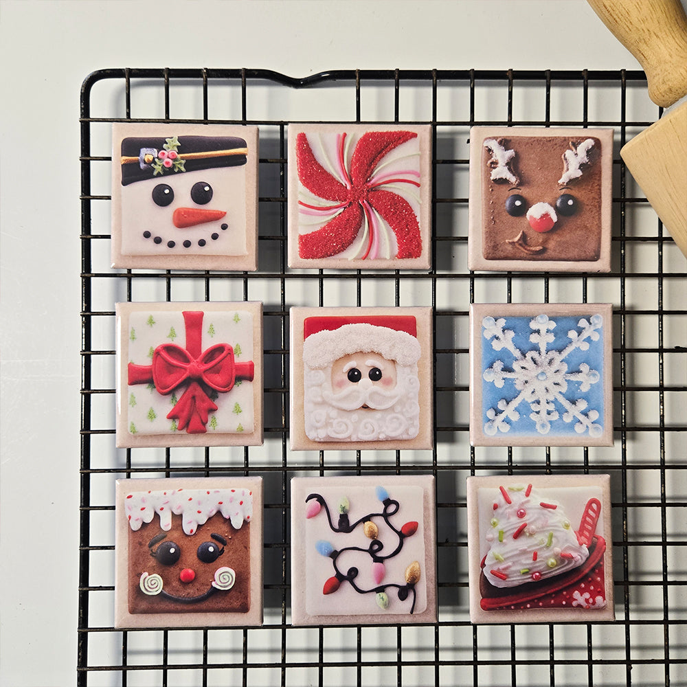 Christmas Cookie Magnet Set