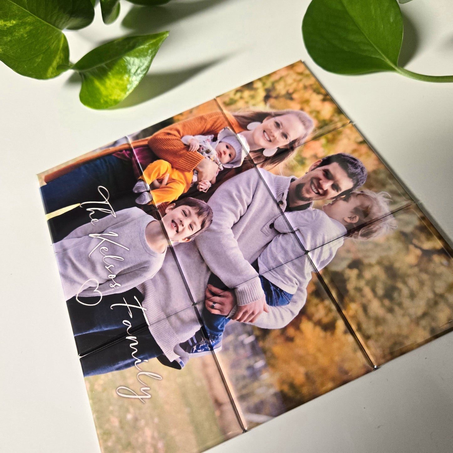 9 Piece Magnetic Photo Puzzle Set